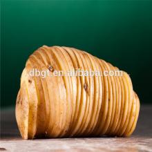 china fresh potato export to  dubai  wholesale market