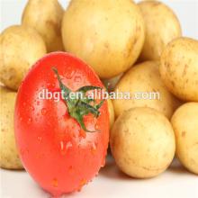 fresh vegetable rich in nutrition/fresh potato rich in vitamin help to healthy