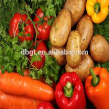 fresh russet potato packed in 20 kg mesh bag/low price