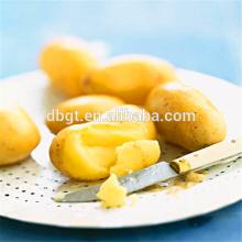 white potato/holland seed potato for sale