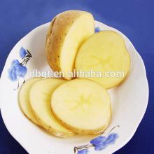 china wholesale potato and new crop agricultural product
