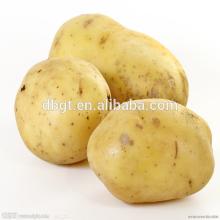 fresh vegetable export/reliable fresh potato supplier