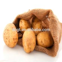 china potato  bulk  export and potato packing bag