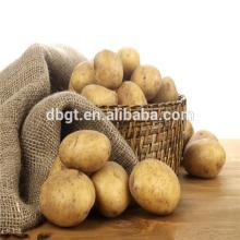 GUOTAI  fresh potato,holland potato in nutrition