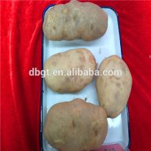 2014  new   holland  potato in the market