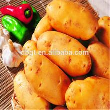 2014  GUOTAI  potato,holland potato in nutrition on sale