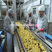  GUOTAI  high quality , fresh potato ,Holland Potato !!!