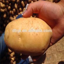 northwest china new potato product for sale