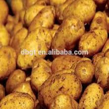 High quality fresh vegetables listed new potatoes