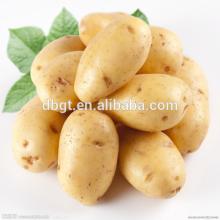 From the new fresh potato farms in China. High quality low price