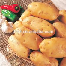High starch content of fresh potatoes from China
