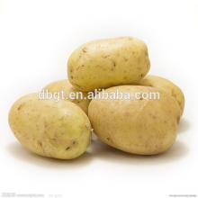 In 2014 China's new fresh potatoes, High quality low price.