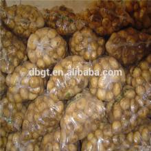 chinese potato seed for sale/high quality seed potato