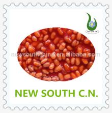 Wholesale Canned Baked Beans in Tomato Sauce in canned vegetables