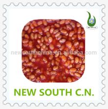 Canned White Kidney Beans(baked beans) in tomato sauce canned food