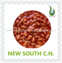 Halal canned baked white kidney beans with low price