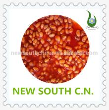 wholesale health food canned baked beans in tomato sauce