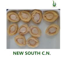 2014 crop canned abalone