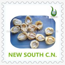 hot sale abalone in can