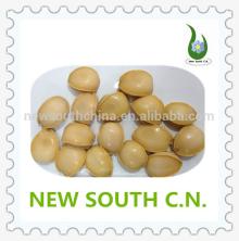 good price of abalone in can