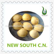 tasty canned abalone in brine for sale