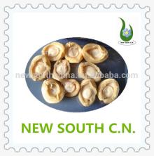 decilious canned abalone in brine on sale