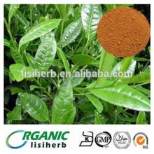 Pure Natural Green Tea Extract /Tea Polyphenol, Catechin