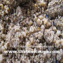 Natural Herbal gum Gomme Ammoniacum