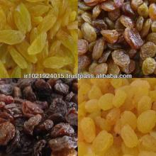 Persian Raisin the tastiest (Golden raisin, Sultana Raisin)