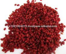 Top quality Dried barberry in Bulk