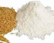 ALL PURPOSE WHEAT FLOUR FOR SALE