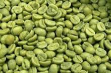 GREEN ROBUSTA AND ARABICA COFFEE BEANS GRADE 1