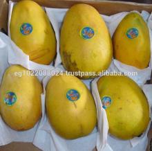 Fresh Sweet Mangos