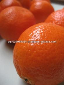 Fresh Clementine