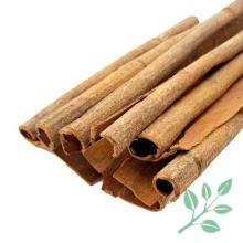 Cinnamon price