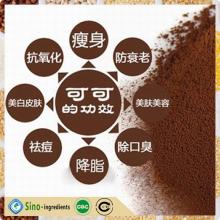 chocolate ingredients brands of cocoa powder export