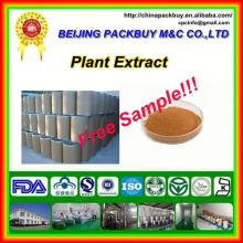 Top Quality From 10 Years experience manufacture red wine extract powder