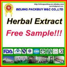 Top Quality From 10 Years experience manufacture eucalyptus essential oil