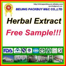 Top Quality From 10 Years experience manufacture black currant seed oil