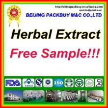 Top Quality From 10 Years experience manufacture berberine  chloride 