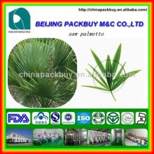 High quality saw palmetto p.e. on sale:saw palmetto