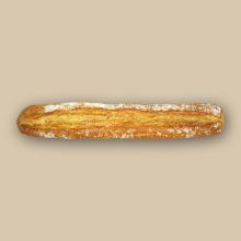 bread sticks suppliers,exporters on 21food.com