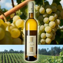 Vinho Verde Rolan Alvarinho White Wine 75cl