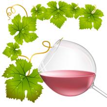  Bulk  Rose Wine from Spain