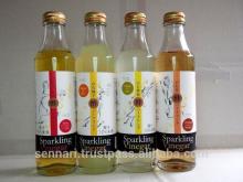 Various taste of drinkable vinegar  cider  as non  alcohol ic sparkling juice