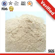 300000 MT output every year natural organic  vital   wheat   gluten   meal 
