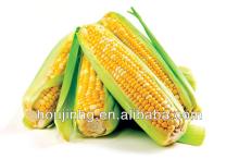 Factory direct sales good quality & price food grade Corn starch