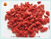 100% Best High Quality Natural Goji Berry Extract 50-70% Polysaccharide