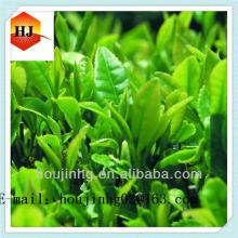 Manufacturer of Tea polyphenol at favorable price