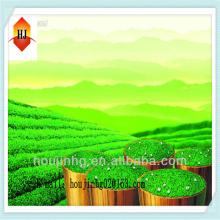 Supply 80% 95% 98% Natural Green Tea Extract tea polyphenol powder